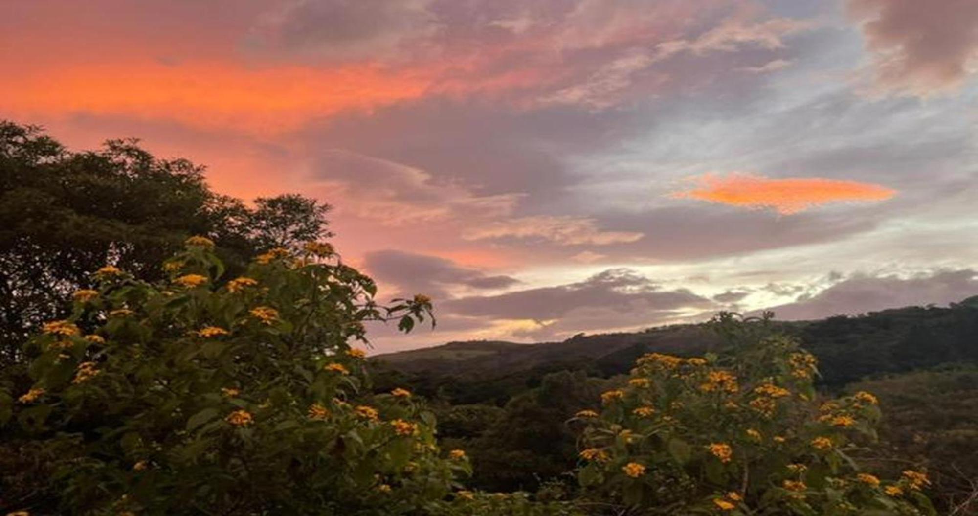 Las Marias Monteverde - Mountain View Cottages & Gardens Εξωτερικό φωτογραφία